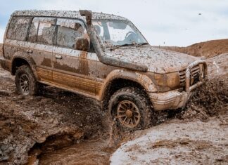 Co to znaczy Pajero po hiszpańsku?