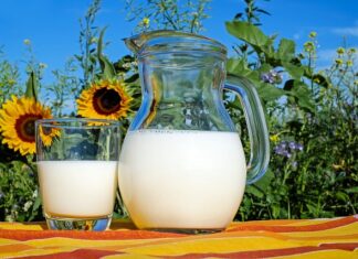 Co jest zdrowsze mleko czy kefir?